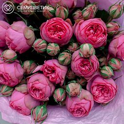 Букет из 15 розовых кустовых пионовидных розовых роз Pink Piano