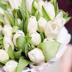 Букет в белой шляпной коробке Amour Mini из 35 белых тюльпанов
