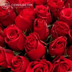 Букет из 25 красных роз (Кения) 40 см Standart