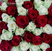 Букет из 51 красной и белой розы микс (Кения) 40 см Standart