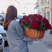 Композиция из 51 красной с темной каймой розы (Россия) 30 см в корзине