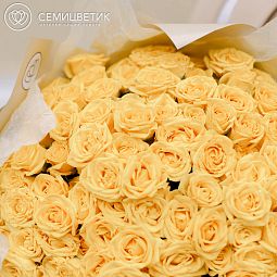 Букет из 51 желтой кустовой розы 40 см (Эквадор)