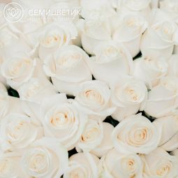 Букет из 101 белой розы (Эквадор) 50 см Vendela