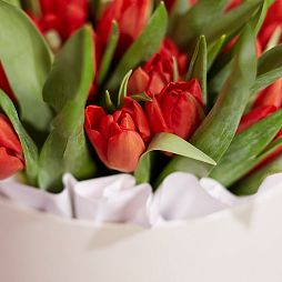 Букет в белой шляпной коробке Amour из 45 красных тюльпанов