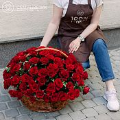 Композиция из 101 красной с темной каймой розы (Россия) 30 см в корзине