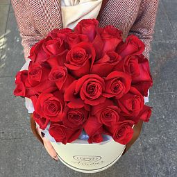 Букет в белой шляпной коробке Amour из 33 красных роз Freedom (Эквадор)