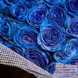 Букет из 101 синей розы (Эквадор) 60 см