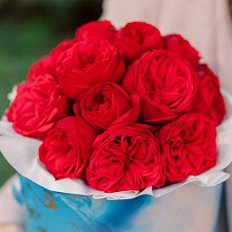 Букет в голубой шляпной коробке Amour Mini из 19 красных одноголовых пионовидных роз Red Piano