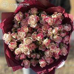 Букет из 15 белых с розовой каймой кустовых роз (Кения) 40 см