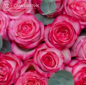 Букет из 11 кремовых с розовой каймой роз (Эквадор) 50 см Caroussel с эвкалиптом