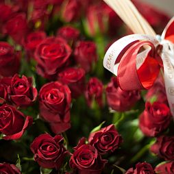 Композиция из 201 красной розы Standart 40 см (Кения) в корзине