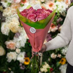 Букет из 15 кремовых с розовой каймой роз (Эквадор) 50 см Carrousel