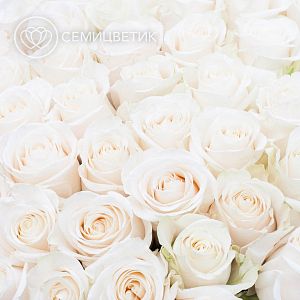 Букет из 101 белой розы (Эквадор) 70 см Vendela