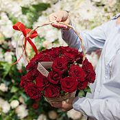 Композиция из 31 красной с темной каймой розы (Россия) 30 см в корзине