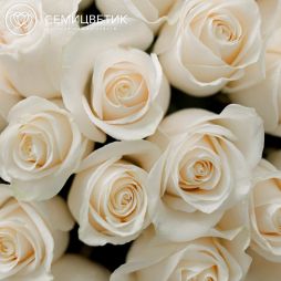 Букет из 25 белых роз (Эквадор) 50 см Vendela