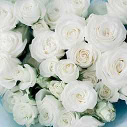 Букет из 11 белых кустовых роз 40 см (Эквадор)