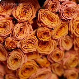 15 оранжевых кустовых роз 40 см (Кения)